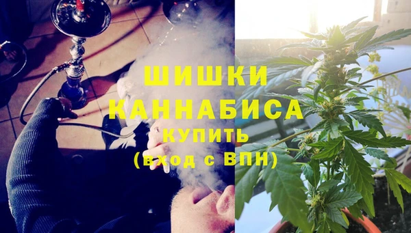 молекула духа Алзамай